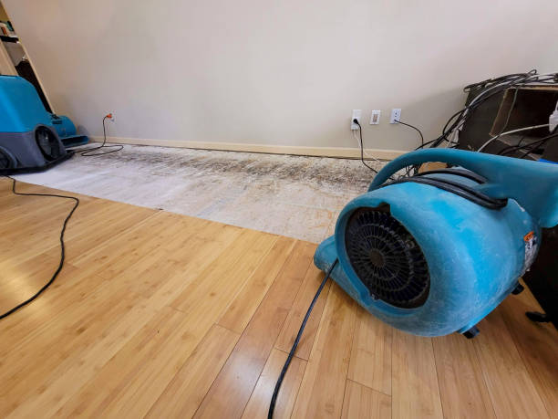 Professional Sewage Cleanup technician working in Peotone, IL